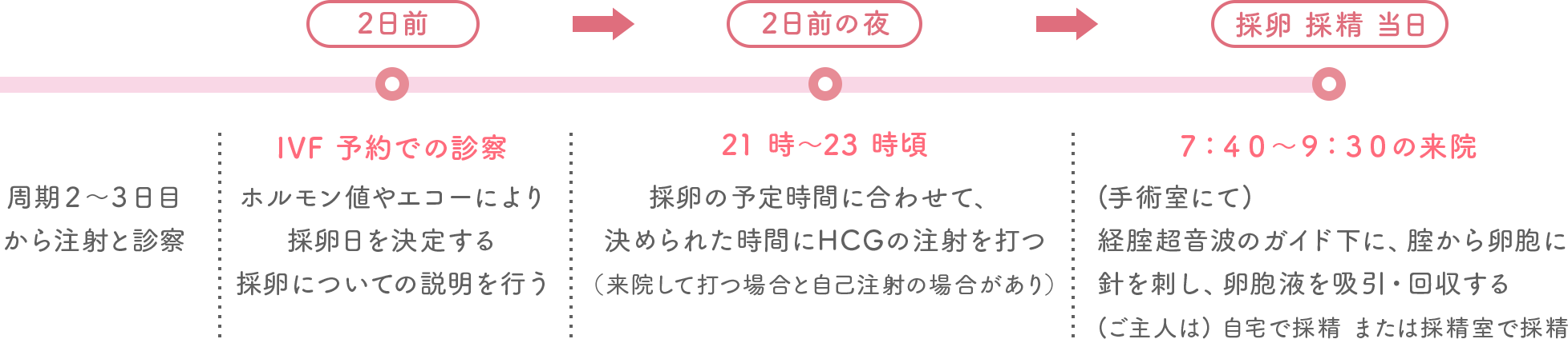 採卵日決定 〜 採卵・採精までのスケジュール
