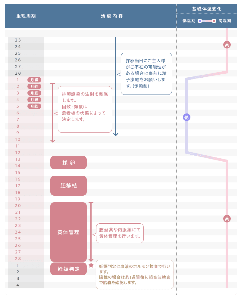 体外受精の進行モデルスケジュール（新鮮胚移植の場合）