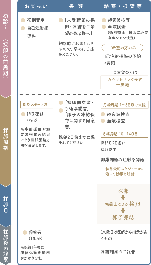 初診から卵子凍結までの流れ