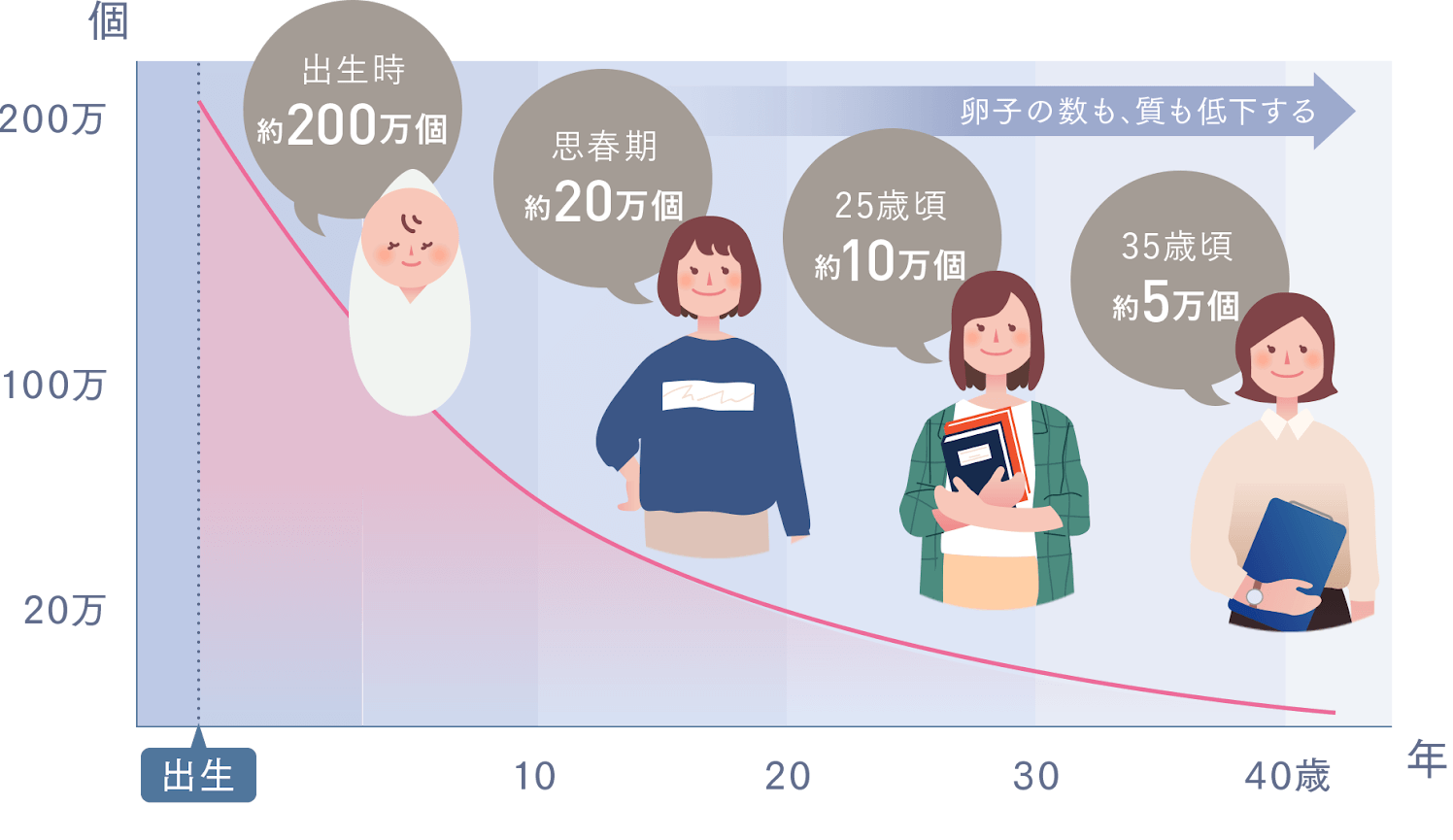 卵子の数は減っていく
