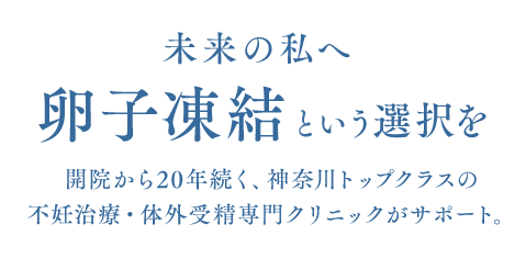 未来の私へ 卵子凍結という選択を