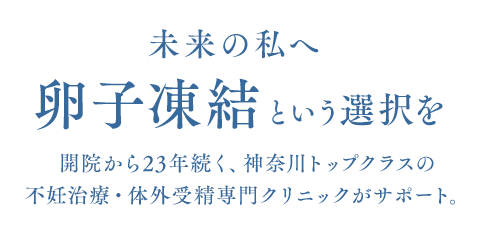 未来の私へ　卵子凍結という選択を